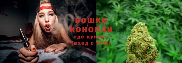 стаф Ладушкин