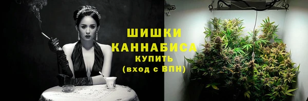 ECSTASY Лагань