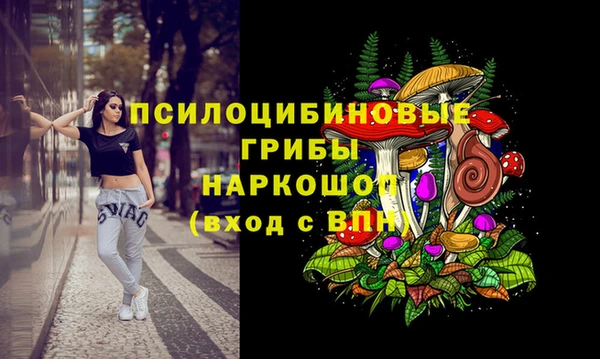 стаф Ладушкин