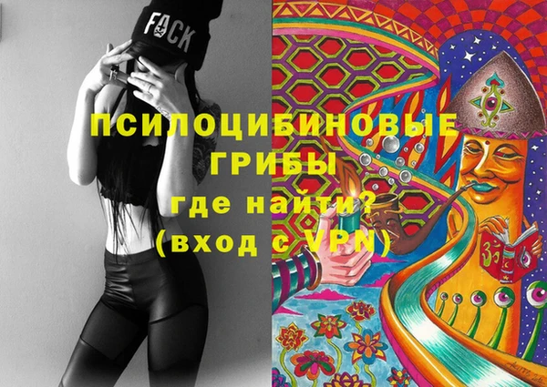 ECSTASY Лагань