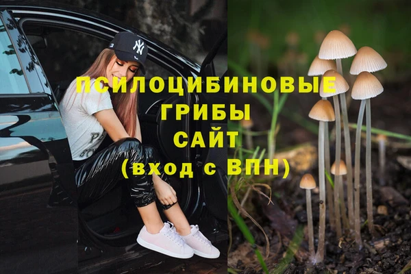 mdpv Лабытнанги