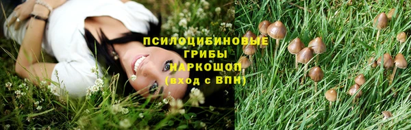 стаф Ладушкин