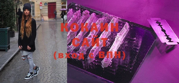 ECSTASY Лагань