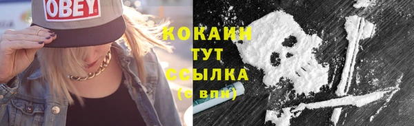 ECSTASY Лагань